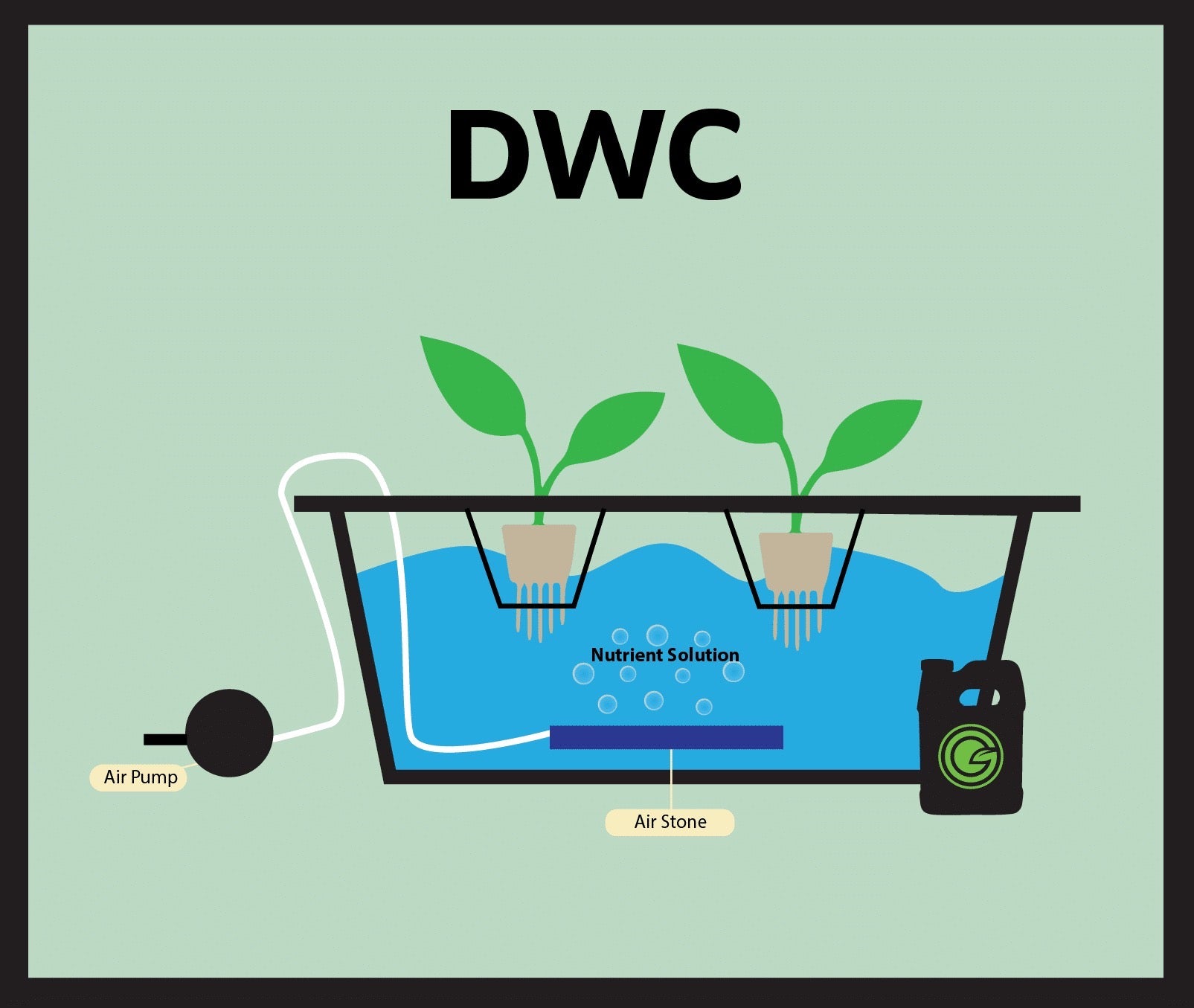 Hydroponic Deep Water Culture (DWC) Kit | 8 Piece Set